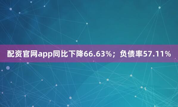 配资官网app同比下降66.63%；负债率57.11%
