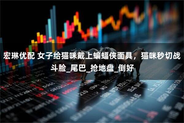 宏琳优配 女子给猫咪戴上蝙蝠侠面具，猫咪秒切战斗脸_尾巴_抢地盘_倒好