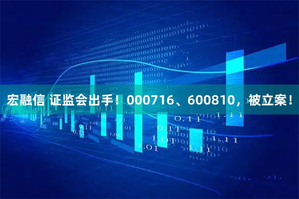 宏融信 证监会出手！000716、600810，被立案！