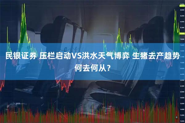 民银证券 压栏启动VS洪水天气博弈 生猪去产趋势何去何从？